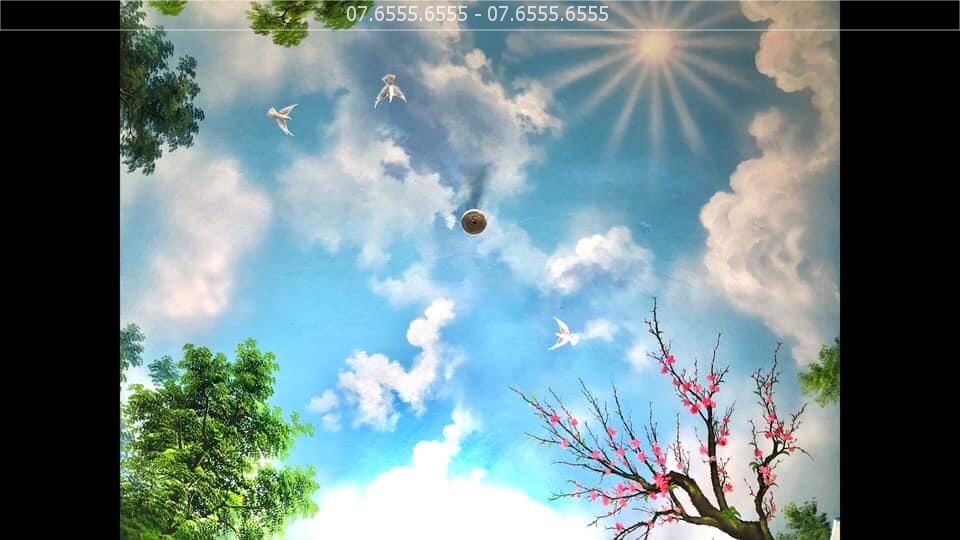 thi-cong-ve-tranh-tuong-tran-3d-8